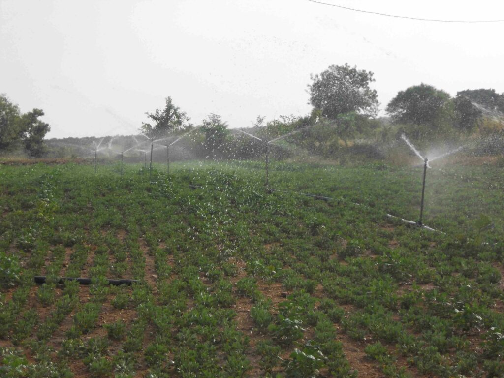 Getting maximum benefits per unit of water